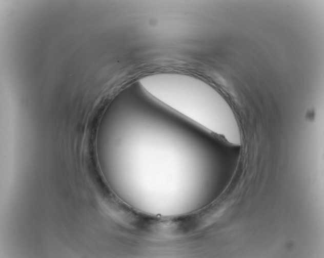 X0000092050217200709121031