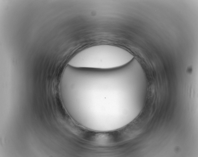 X0000092050218200709121031