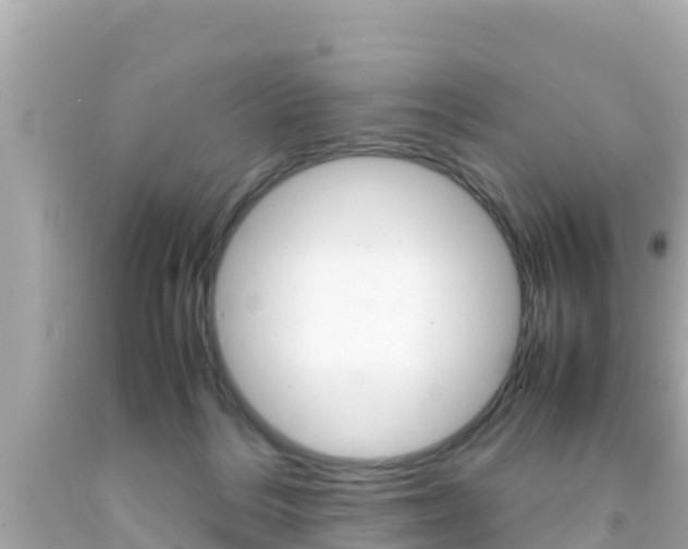 X0000092050220200709121031