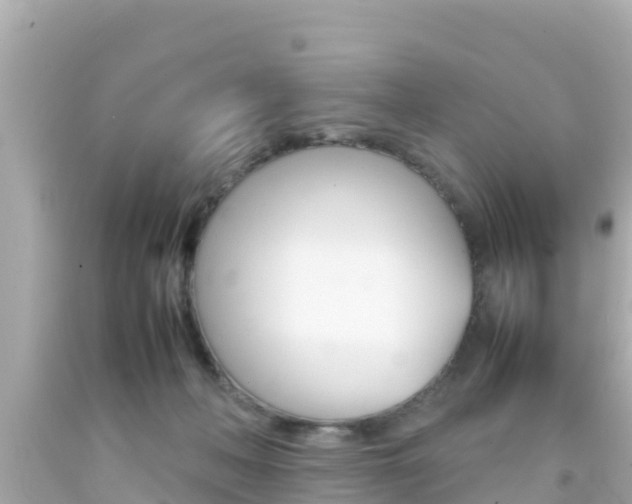 X0000092050222200709121031