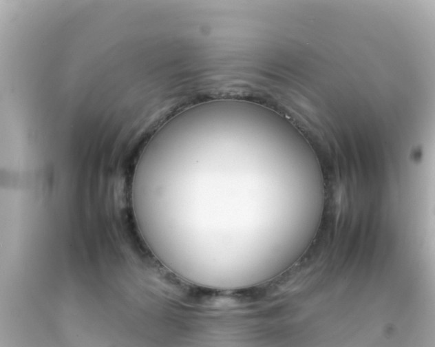 X0000092050224200709121031
