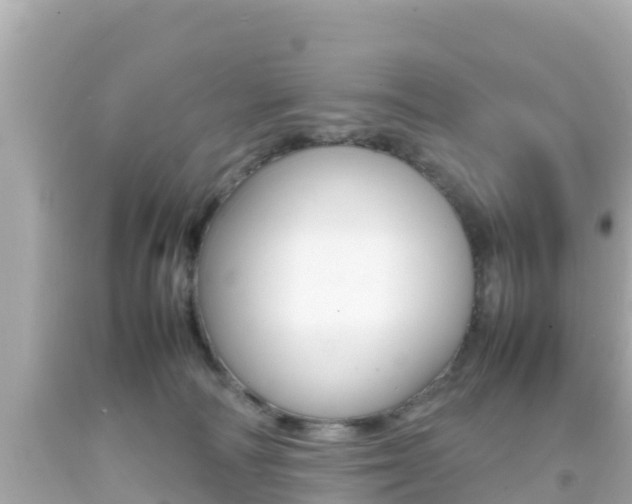 X0000092050226200709121031