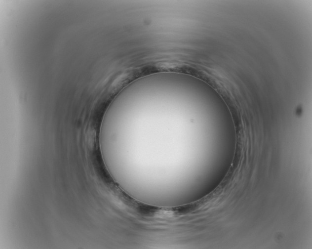 X0000092050227200709121031