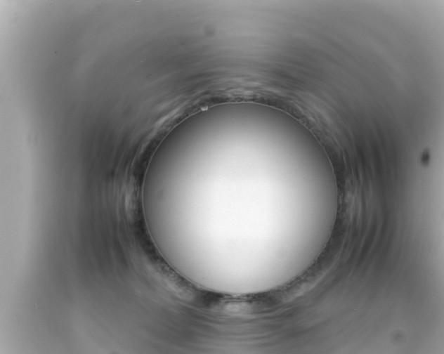 X0000092050228200709121031