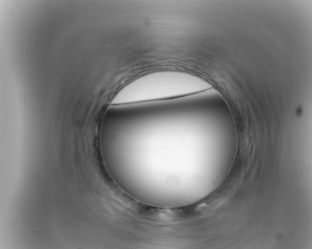 X0000092050229200709121031