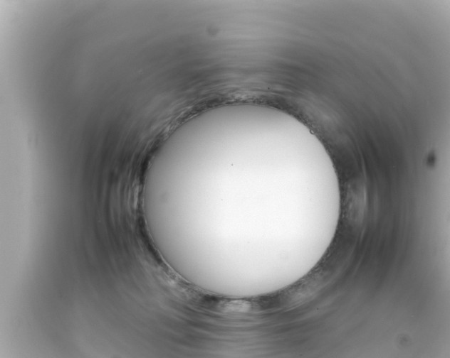 X0000092050230200709121031