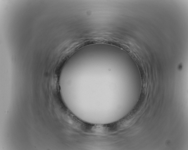 X0000092050231200709121031