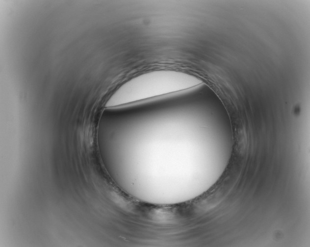 X0000092050232200709121031