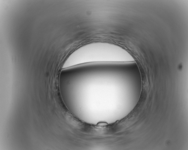 X0000092050233200709121031