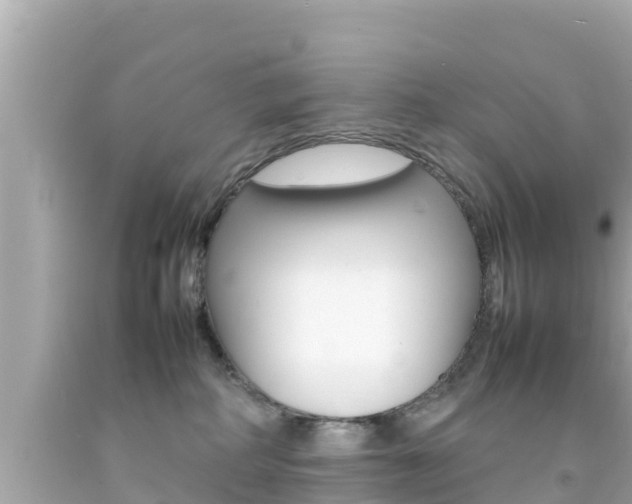 X0000092050234200709121031