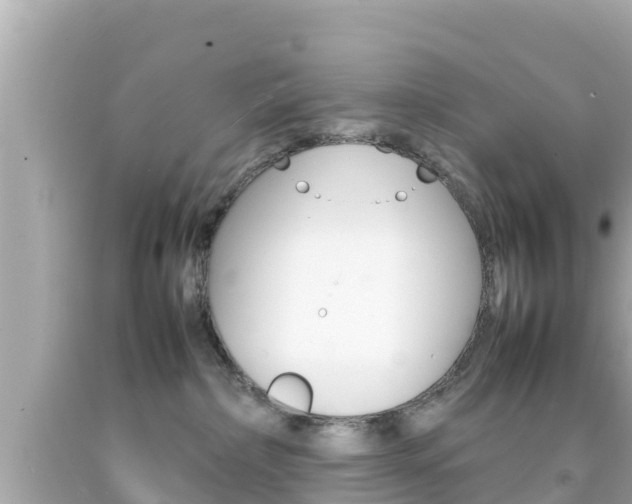 X0000092050236200709121031