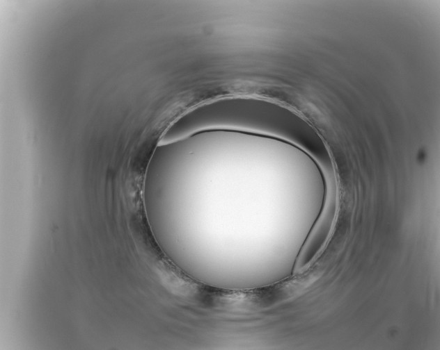 X0000092050237200709121031