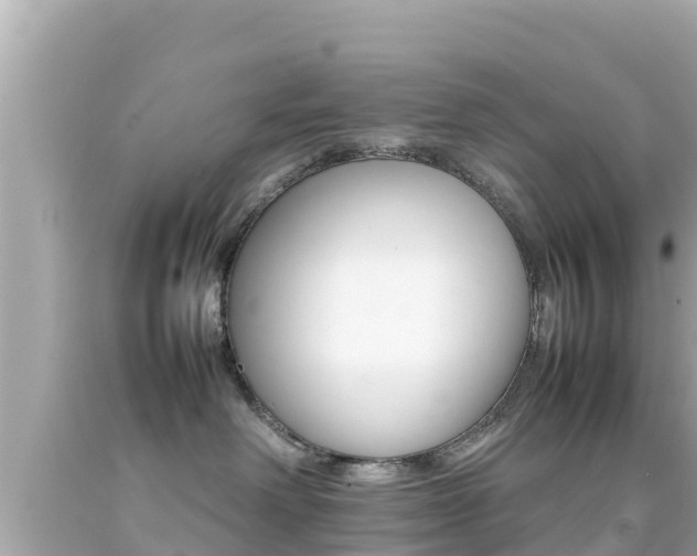 X0000092050238200709121031