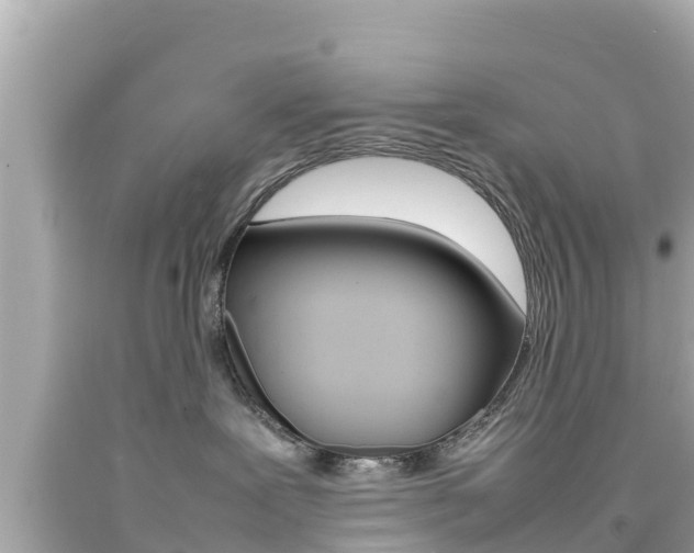 X0000092050239200709121031