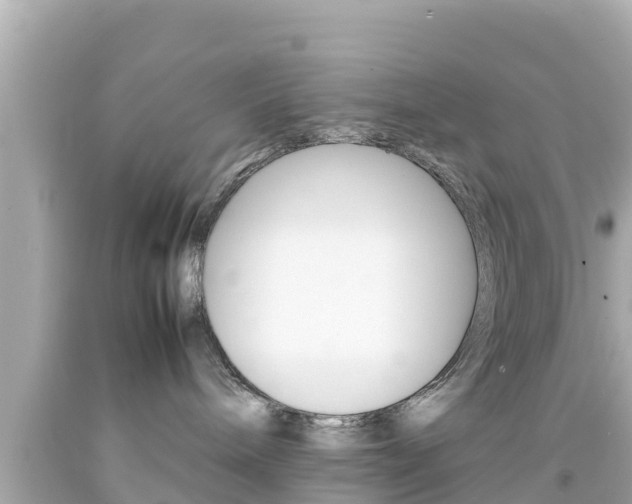 X0000092050240200709121031