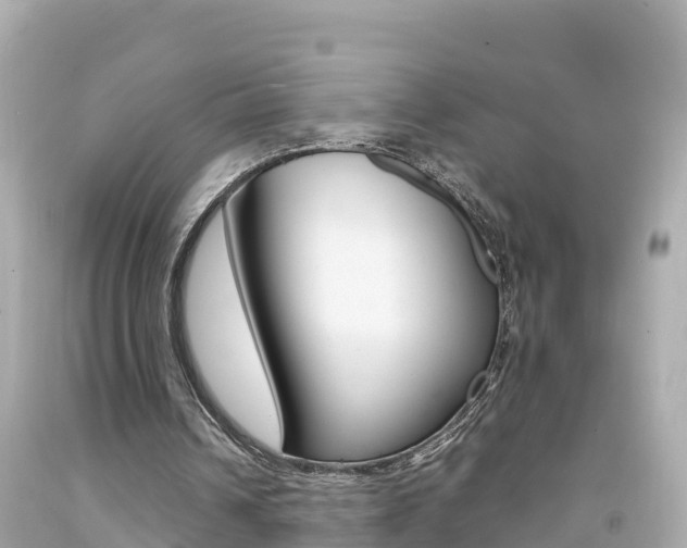 X0000092050242200709121031