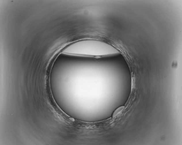 X0000092050243200709121031