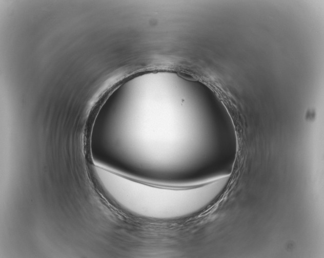 X0000092050244200709121031