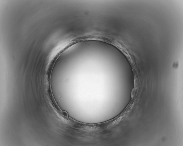 X0000092050245200709121031