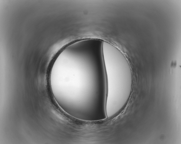 X0000092050248200709121031