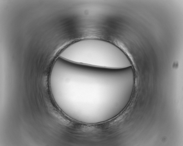 X0000092050249200709121031