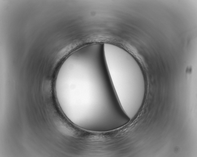 X0000092050250200709121031