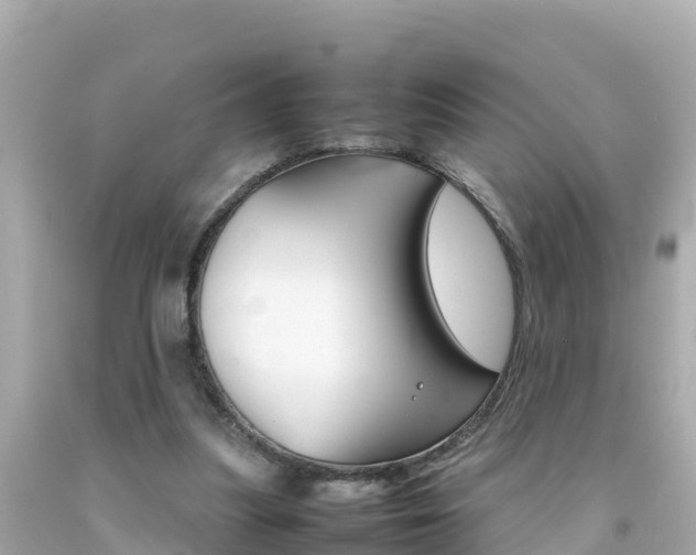 X0000092050251200709121031