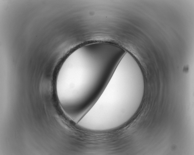 X0000092050252200709121031