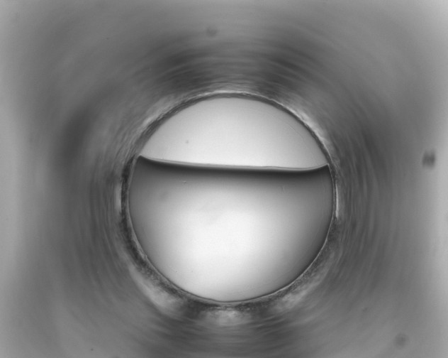 X0000092050253200709121031