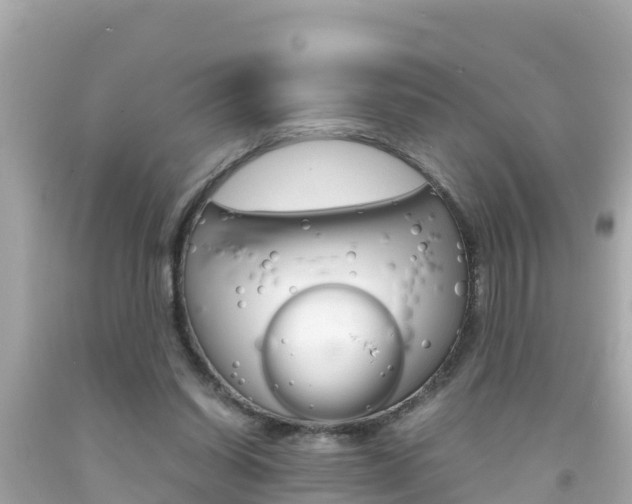 X0000092050254200709121031