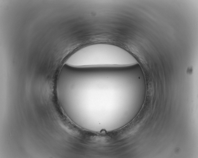 X0000092050255200709121031