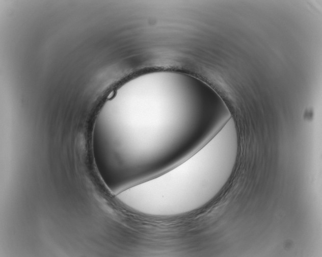 X0000092050256200709121031