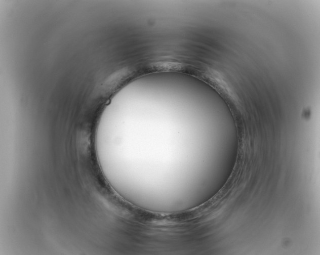 X0000092050259200709121031