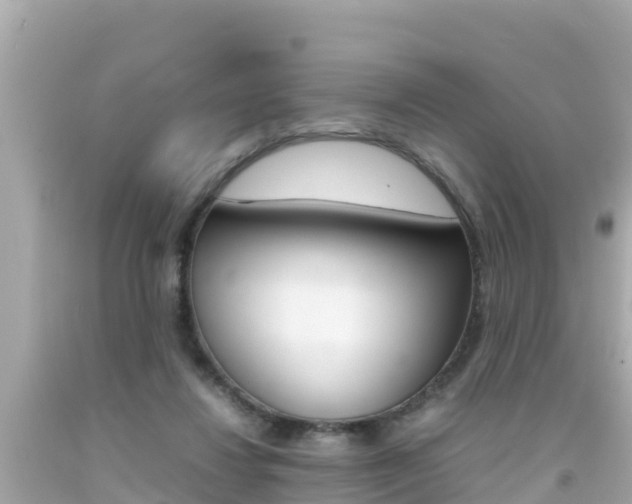 X0000092050260200709121031