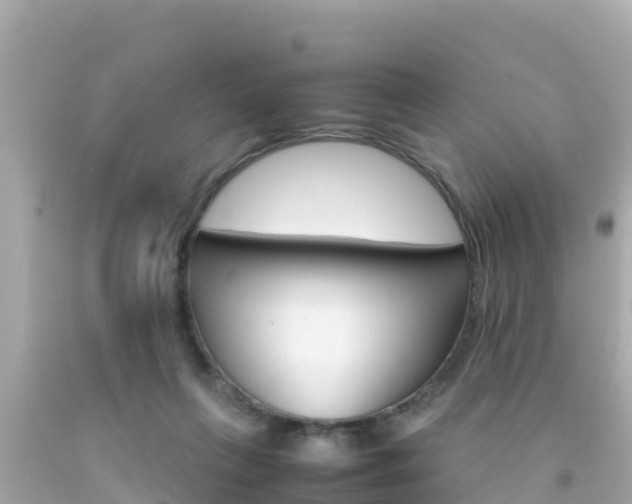 X0000092050263200709121031