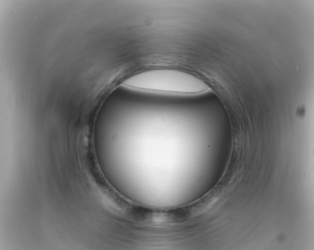 X0000092050264200709121031