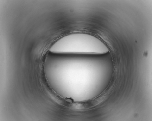 X0000092050265200709121031