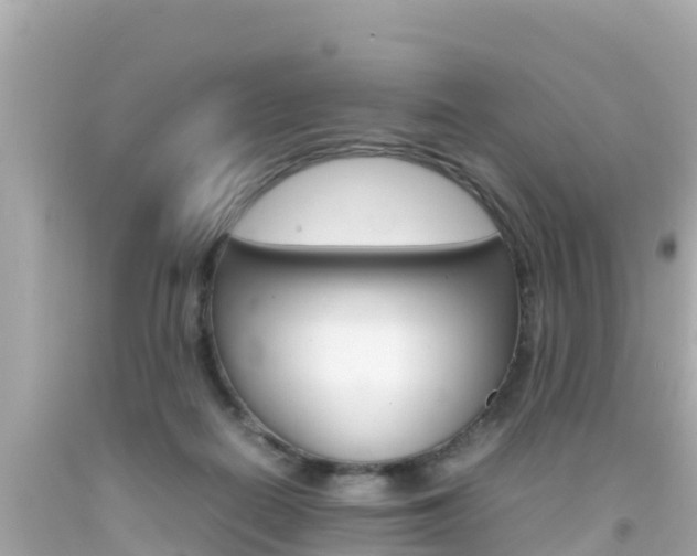 X0000092050266200709121031