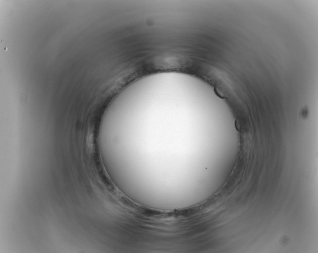 X0000092050267200709121031