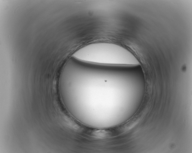 X0000092050269200709121031