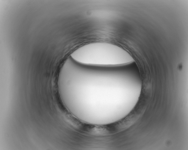 X0000092050270200709121031