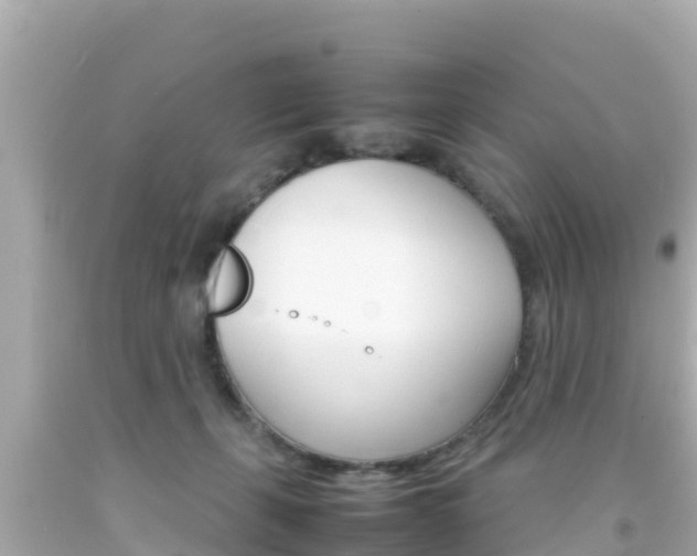 X0000092050271200709121031