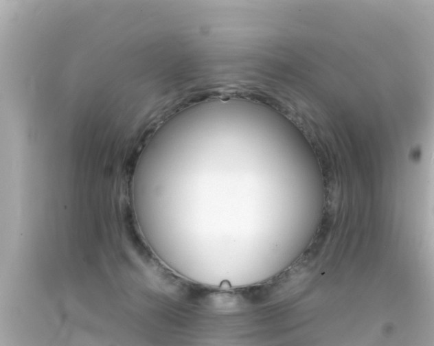 X0000092050272200709121031