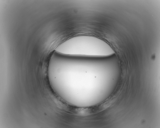 X0000092050273200709121031