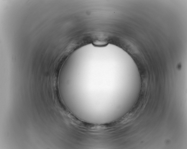 X0000092050274200709121031