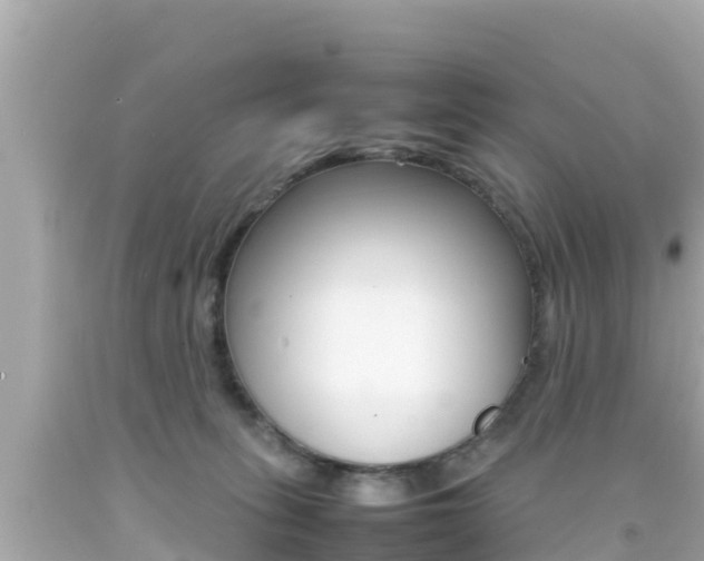 X0000092050275200709121031