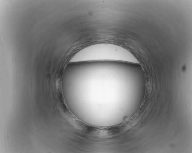 X0000092050276200709121031