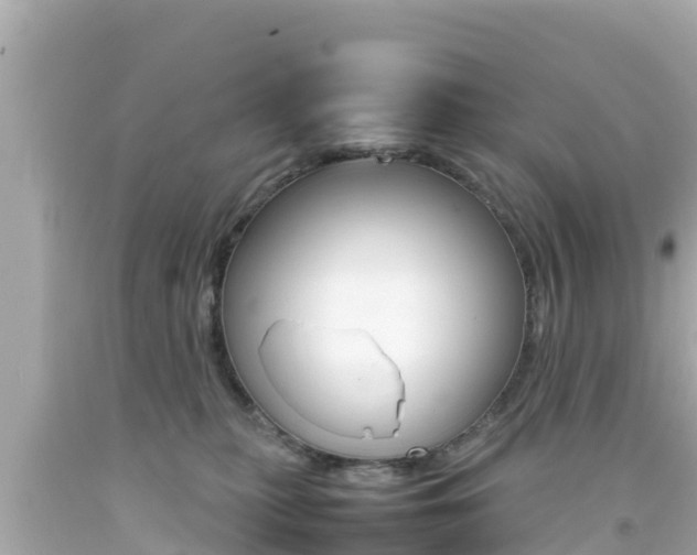 X0000092050279200709121031