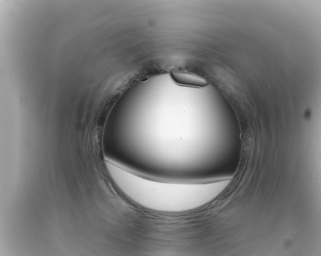 X0000092050280200709121031