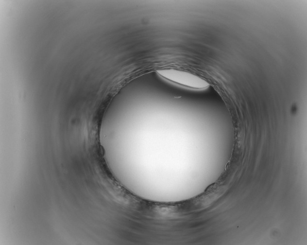 X0000092050283200709121031